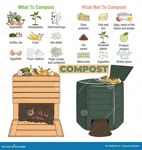 Infographic Of Garden Composting Bin With Scraps. What To Or Not To ...