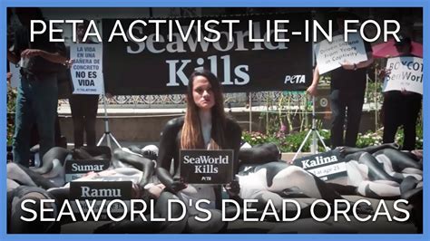 Naked Activists Hold A Memorial For SeaWorld S Dead Orcas YouTube