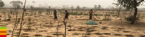 Africrops Bio Moringa Baobab Hibiskus Aus Afrika