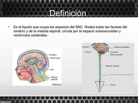 Liquido Cefalorraquideo Ppt