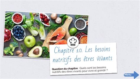 E Chapitre Les Besoins Nutritifs Des Tres Vivants