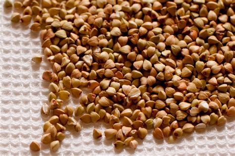 Елда (гречка) – непознати, но полезни продукти и тяхното място в ...