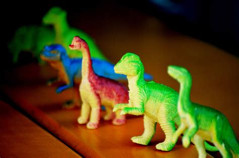 Toy Dinosaurs Free Stock Photo Public Domain Pictures