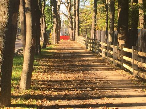 Doylestown Township Trail Videos | Doylestown Township