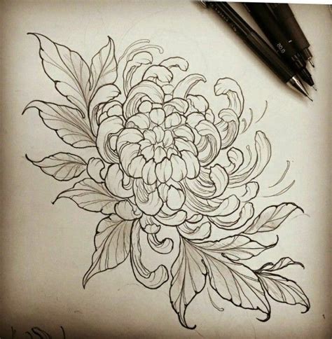 Chrysanthemum Japanese Flower Tattoo Chrysanthemum Tattoo Flower