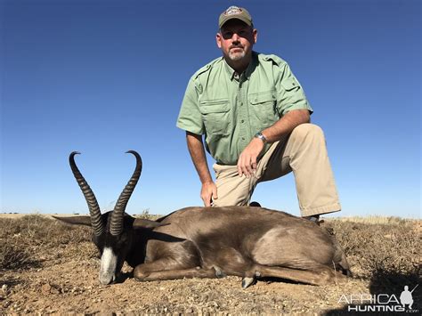 Black Springbok Hunt South Africa