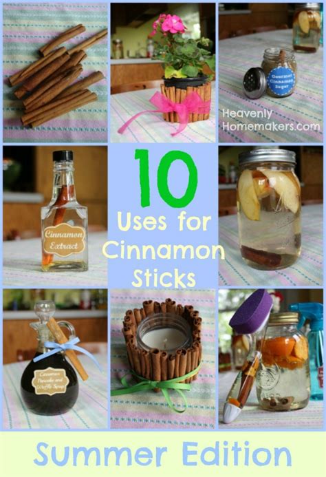 Cinnamon Sticks For Summertime 10 Great Uses And 10 FREE Cinnamon