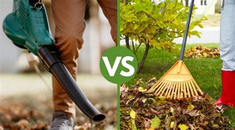 What Are The Pros And Cons Of Using A Leaf Blower Vs Raking Leaf Blowers Review