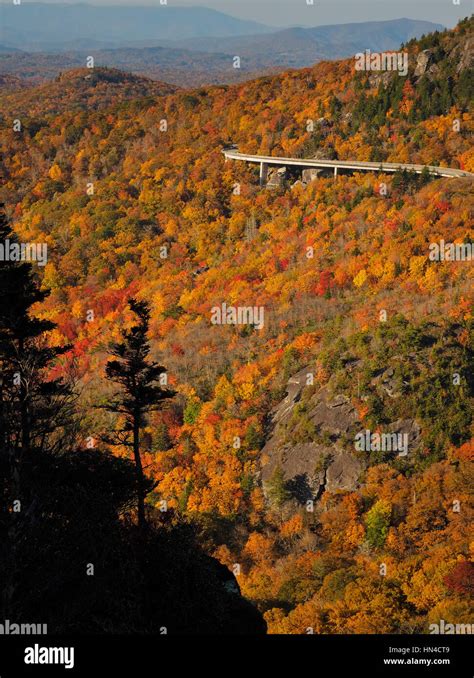 Linn Cove Viaduct Seen From Rough Ridge Tanawha Trail Blue Ridge