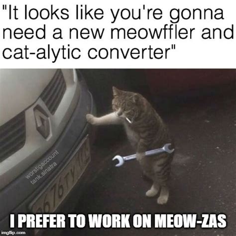 Cat Mechanic Imgflip