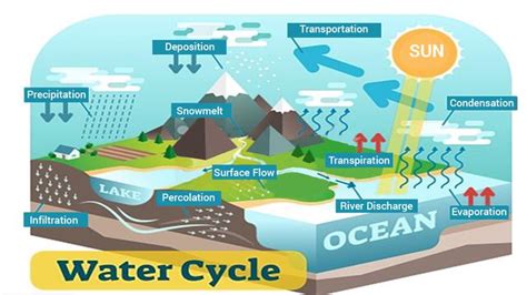 Draw A Diagram Of Water Resources In Your Village Water Sour