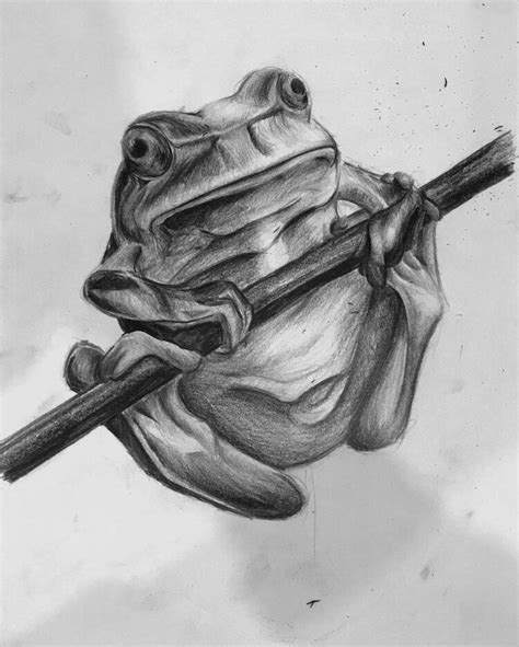 20 Amazing Frog Drawing Ideas Beautiful Dawn Designs Frog Drawing