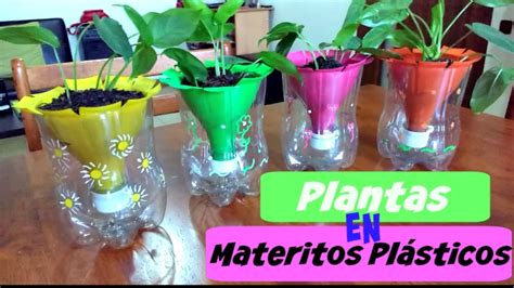 Sembrar Plantas En Materos Plásticos Youtube