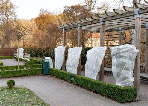 Vliesdoek In De Tuin Zo Bescherm Je Kwetsbare Planten