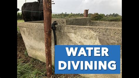 Divining For Water Youtube