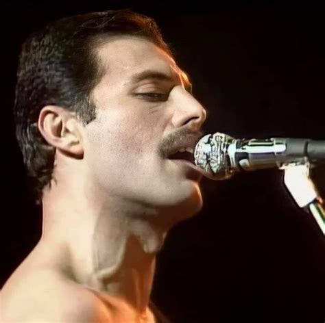 Pin on Freddie mercury