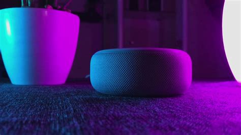 Apple Music Auf Dem Echo Dot Einrichten Youtube