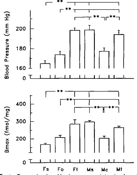 Figure 4 From Sex Influence On Renal Alpha 2 Adrenergic Receptor