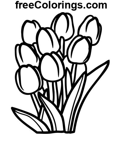 Line Art Tulpan Blommor Gratis utskrivbara målarbok