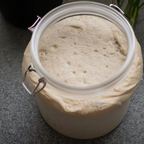 How To Start A Sourdough Starter A Step By Step Guide The Enlightened Mindset