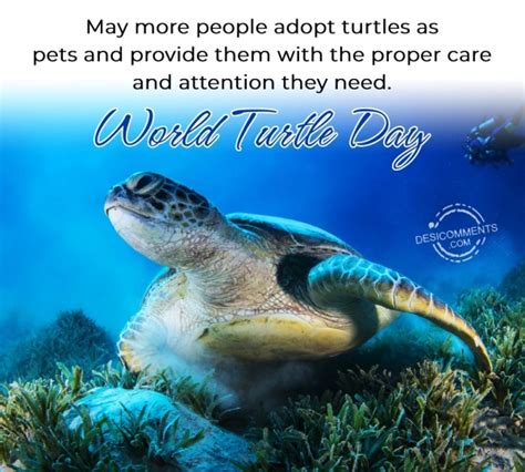 May More People Adopt Turtles Desi Comments