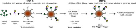 Magnetic Immunoassay An Overview ScienceDirect Topics 48 OFF