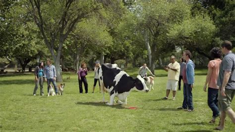 Chick-fil-A TV Commercial, 'Cow Tricks' - iSpot.tv