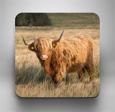 New Highland Cow Large Wooden Cork Photography Coaster