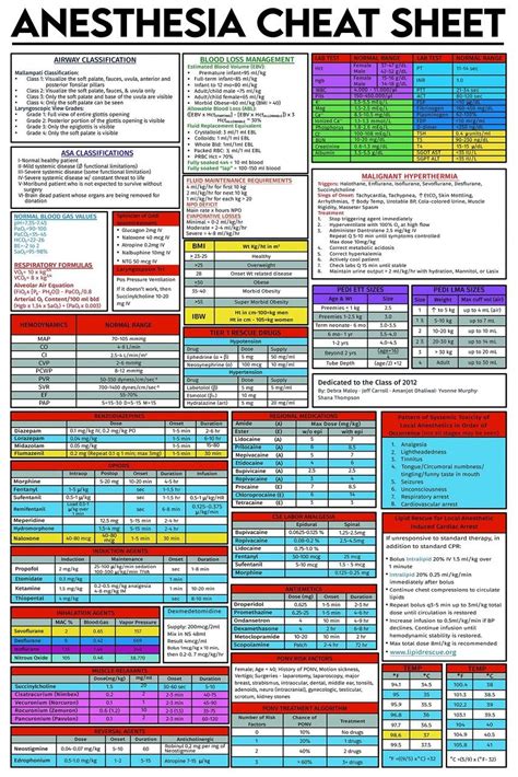 Comprehensive Vital Signs Tracker Monitoring Vital Signs Printable