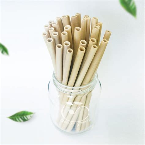 Ng H T T Nhi N Eco Friendly Straws Trang Growgreen Vn