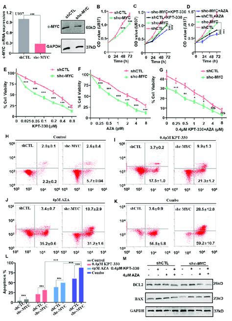 Effect Of C Myc Knockdown On The Combination Mediated Proliferation In