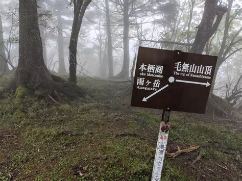 毛無山（三角点）・毛無山（最高点）・大見岳 Hohomiさんの毛無山・雨ヶ岳・竜ヶ岳の活動日記 Yamap ヤマップ