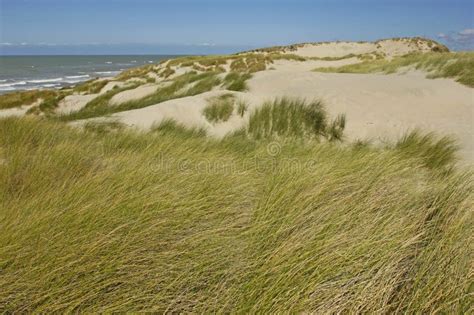 Cucq Stella Plage France April Beach Editorial Stock Photo