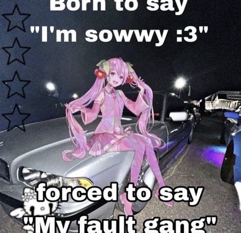 "my fault gang ! :3" : r/wordsonanimegirls