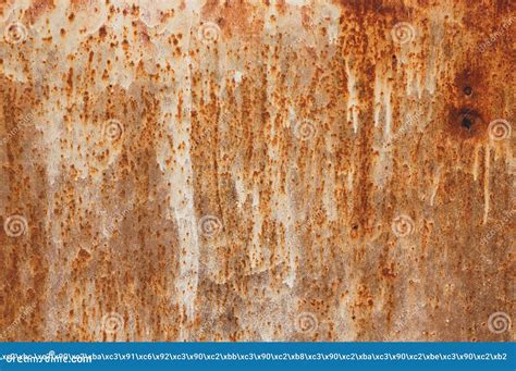 Rusty Metal Panel Texture Stock Photo Image Of Pattern 179202718