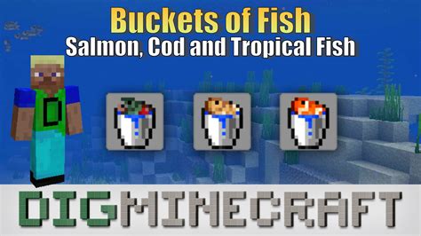 Learn How To Catch Fish In Buckets Salmon Cod Tropical Fish And