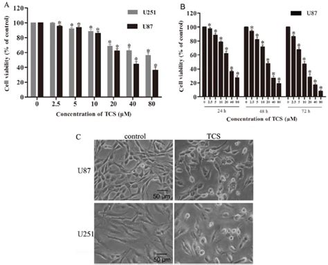 Tcs Inhibits The Viability Of Glioma Cells In A Dose And Time Dependent