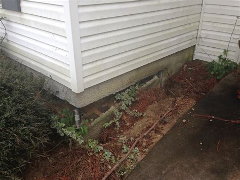 5 Alarming Signs of Building Foundation Water Damage