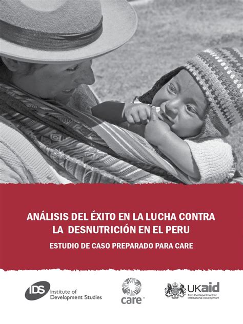 14 Analisis Del Éxito En La Desnutricion Peru Pdf Organización No Gubernamental Reducción