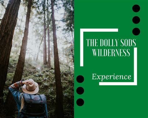 The Dolly Sods Wilderness Experience - SkyAboveUs