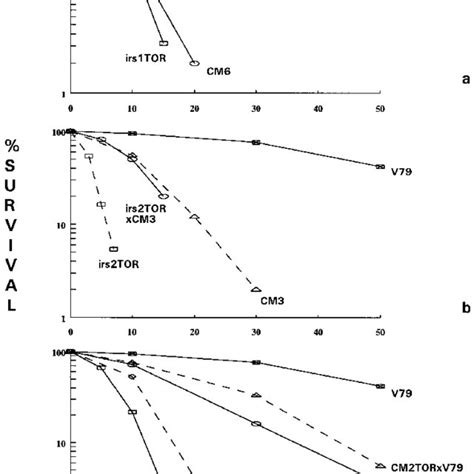 Streptonigrin A And Mitomycin C B Survival Responses Of V79 And