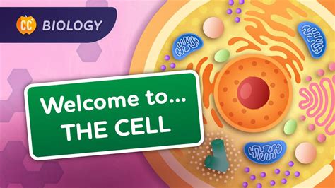 A Tour Of The Cell Biology 23