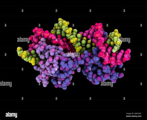 Yeast Mating Type Transcription Factors Complexed With Synthetic Dna