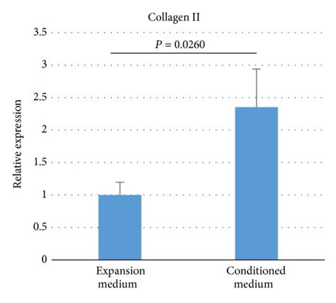 Conditioned Medium Increases Chondrogenic Gene Expression Real Time