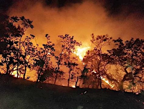 120 incendios forestales activos en el país Contexto de Durango