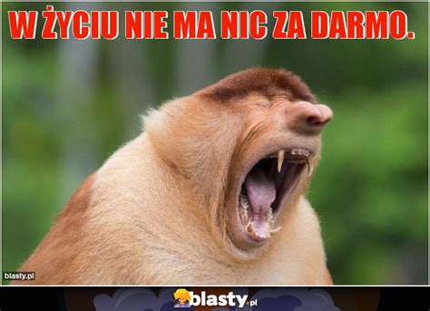 W życiu nie ma nic za darmo memy gify i śmieszne obrazki facebook