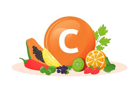 Vitamin C Food Sources 1761900 Vector Art At Vecteezy