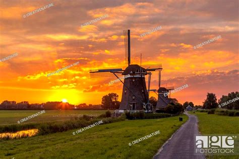 Three Historic Wooden Windmills Under Orange Sunset In Dutch Polder