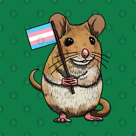 Mouse With Trans Flag Mouse T Shirt Teepublic