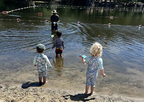 Are Dogs Allowed In Lake Anza Berkeley